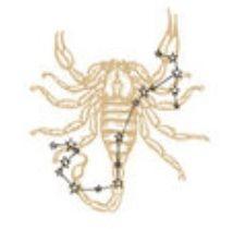 scorpion